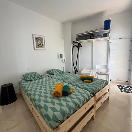 Casa Tintin, Small Oasis,